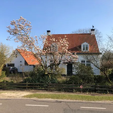 Horse And Hound Отель типа 