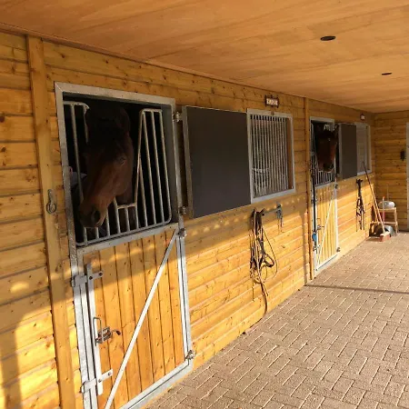 Horse And Hound Riethoven