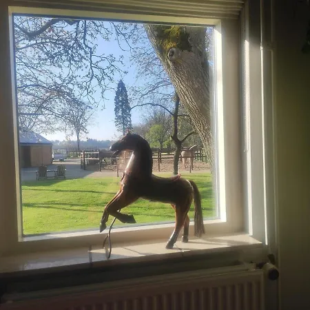 Horse And Hound 3* Riethoven