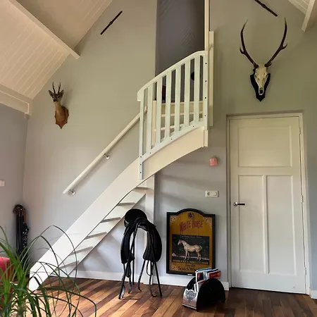 Horse And Hound Bed & Breakfast *