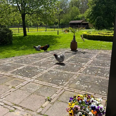 Horse And Hound Bed & Breakfast Riethoven