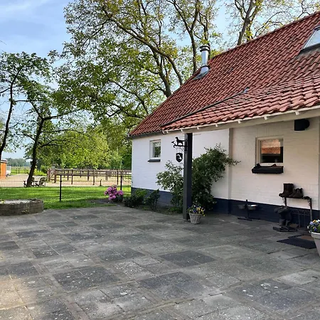 Horse And Hound * Riethoven