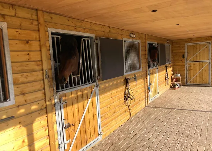 Horse And Hound Riethoven