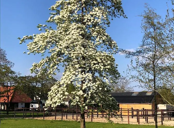 Horse And Hound 3* Riethoven