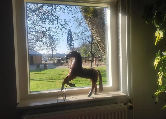 Horse And Hound 3* Riethoven