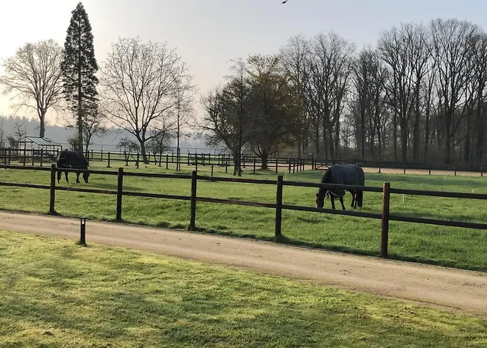 Horse And Hound Couette-café Riethoven