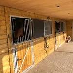 Horse And Hound Riethoven