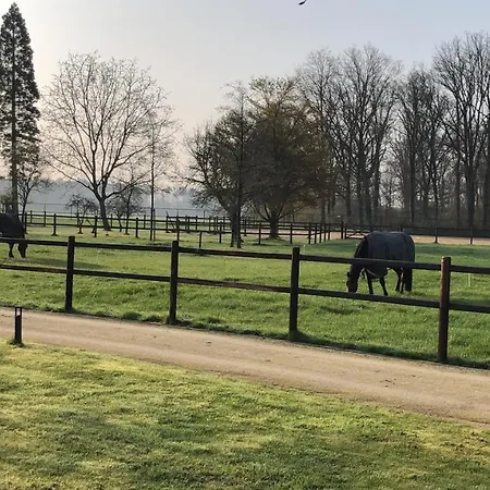Horse And Hound Oda ve Kahvaltı Riethoven