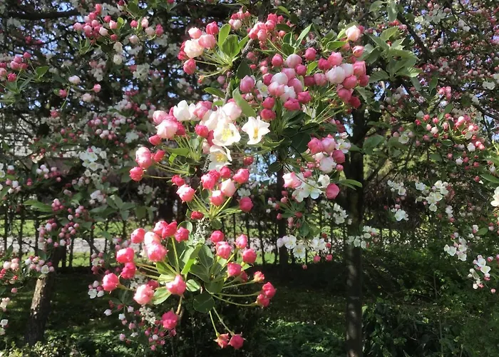 ベッド・アンド・ブレックファスト Horse And Hound Riethoven