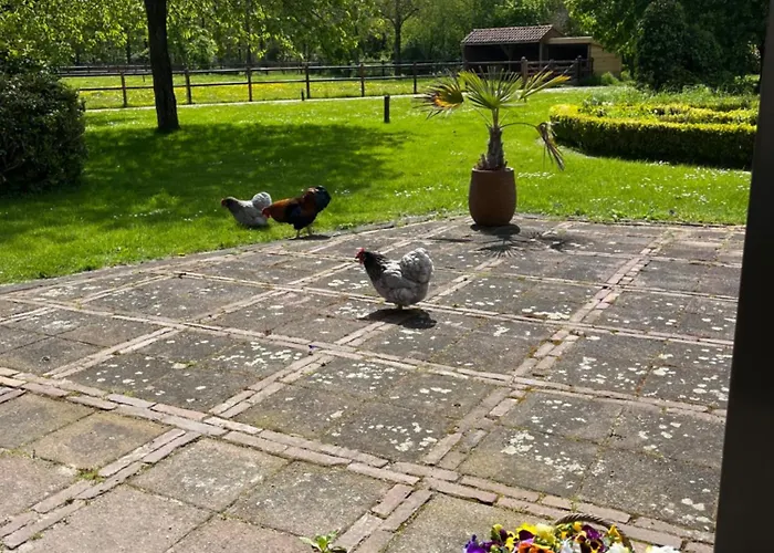 Horse And Hound ベッド・アンド・ブレックファスト Riethoven