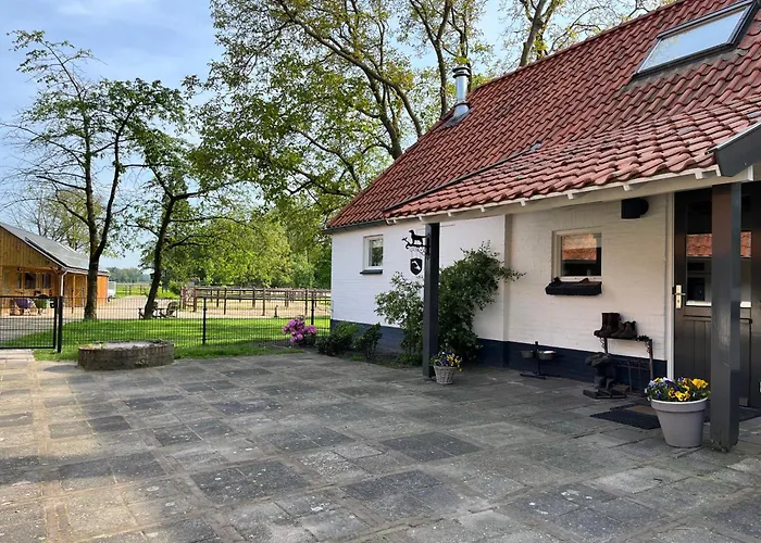 Horse And Hound 3* Riethoven